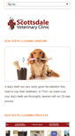 Mobile Screenshot of dogteethcleaningaz.com